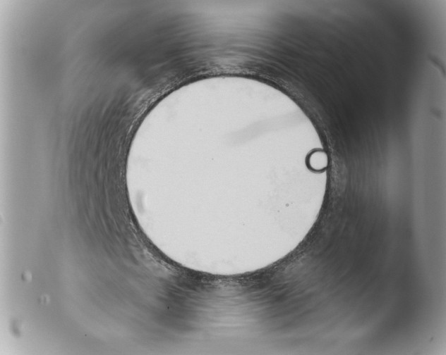 X0000103930481200810171755