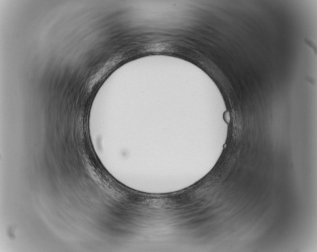 X0000103930482200810171755