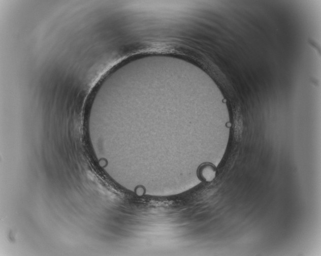 X0000103930484200810171755