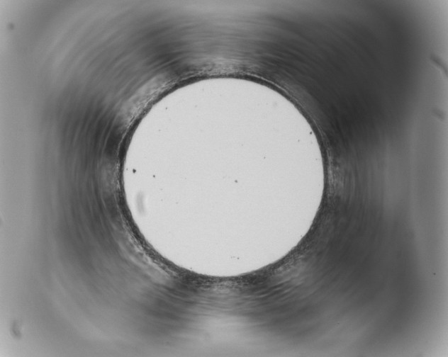 X0000103930485200810171755