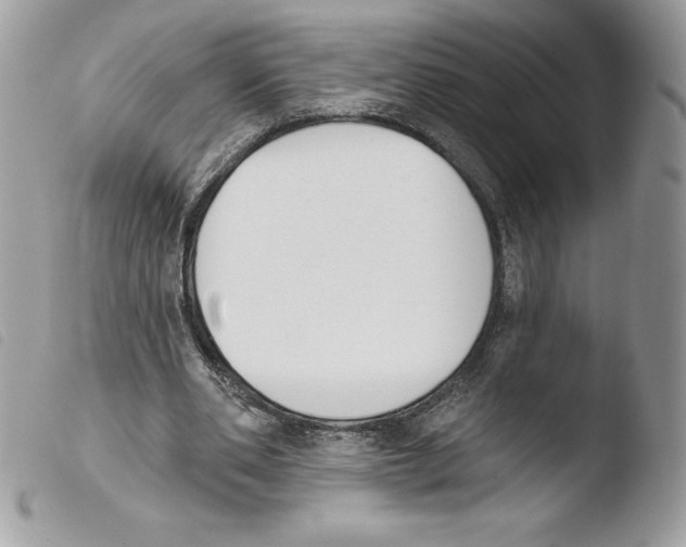 X0000103930486200810171755