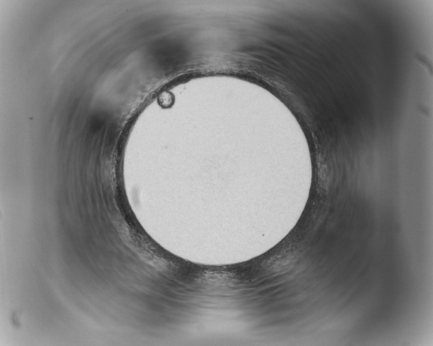 X0000103930487200810171755