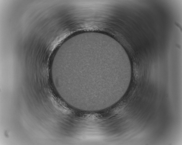 X0000103930488200810171755