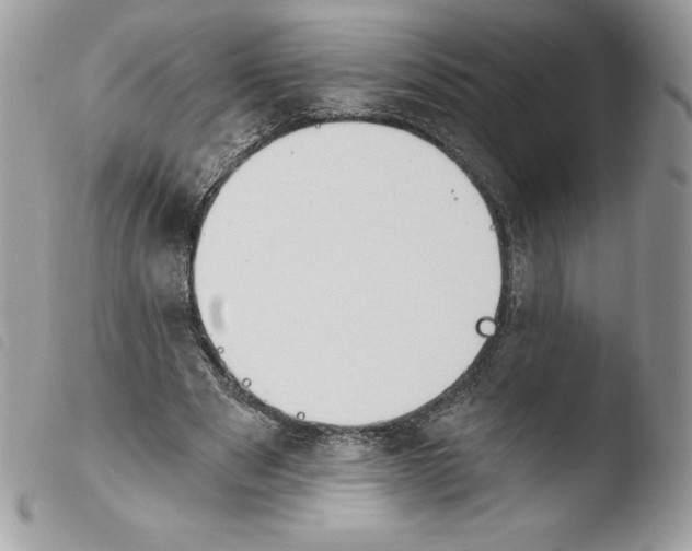 X0000103930489200810171755