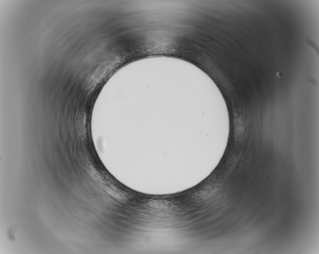 X0000103930490200810171755