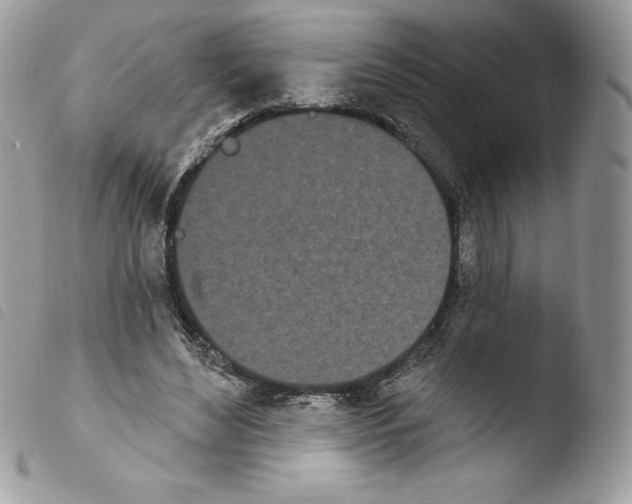 X0000103930492200810171755