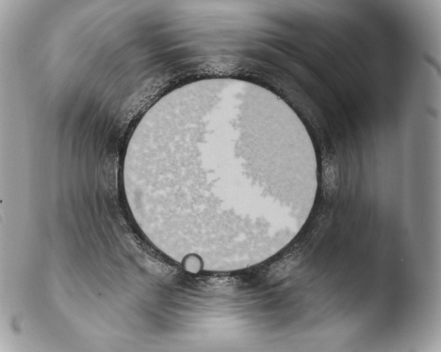 X0000103930493200810171755