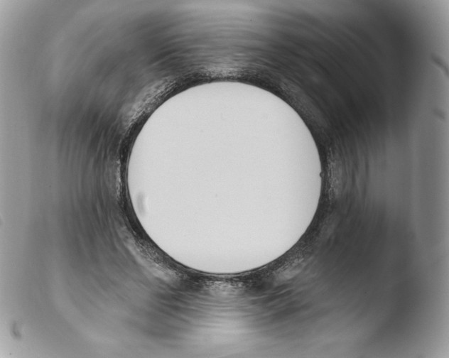 X0000103930494200810171755