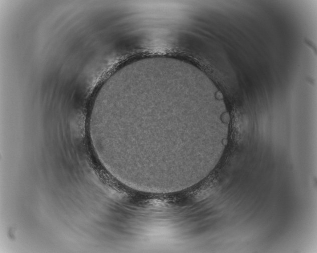 X0000103930496200810171755