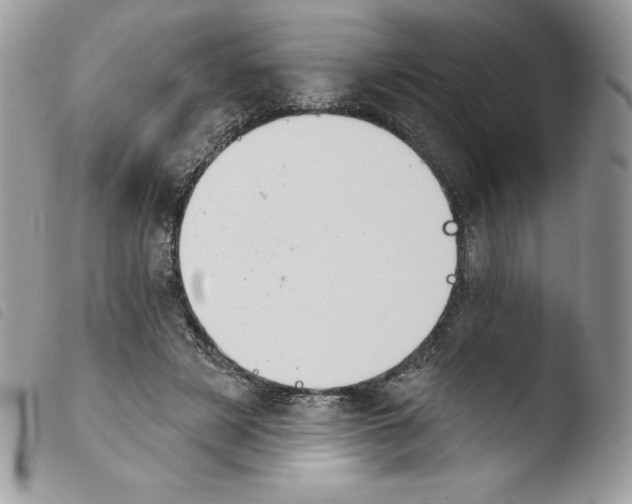 X0000103930497200810171755