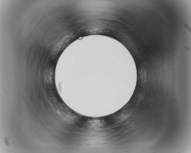 X0000103930499200810171755