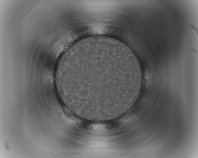 X0000103930500200810171755