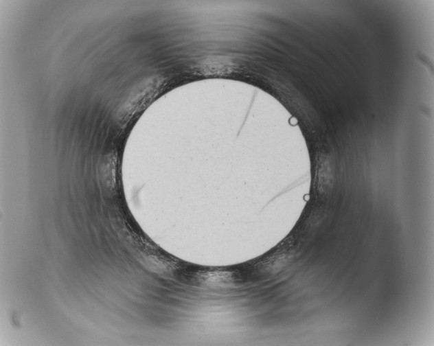 X0000103930501200810171755