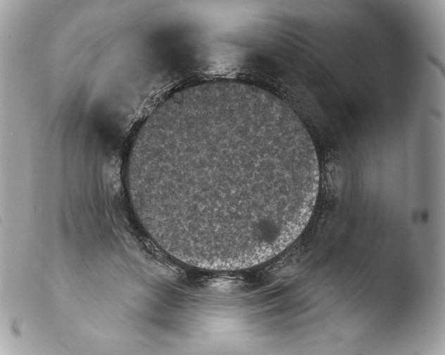 X0000103930504200810171755