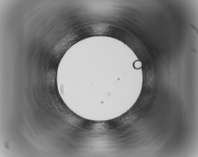 X0000103930505200810171755