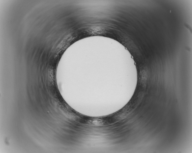 X0000103930506200810171755