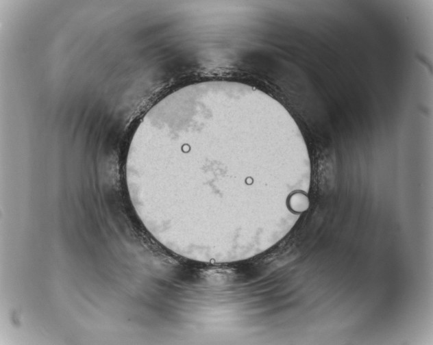 X0000103930508200810171755