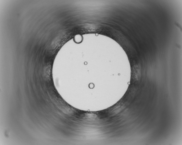 X0000103930509200810171755