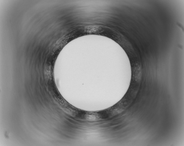 X0000103930510200810171755