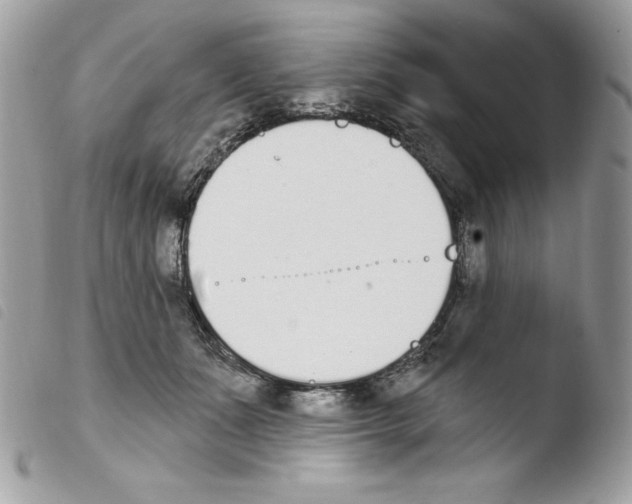 X0000103930511200810171755