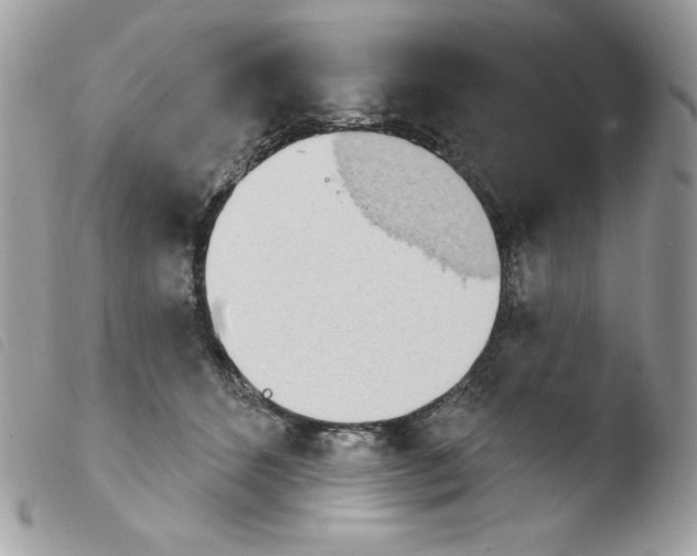 X0000103930512200810171755