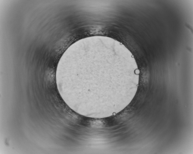 X0000103930513200810171755