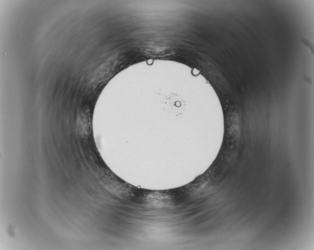 X0000103930515200810171755