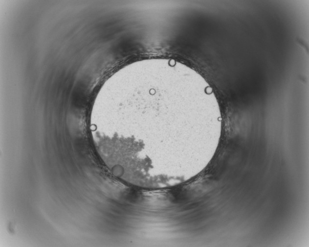 X0000103930516200810171755