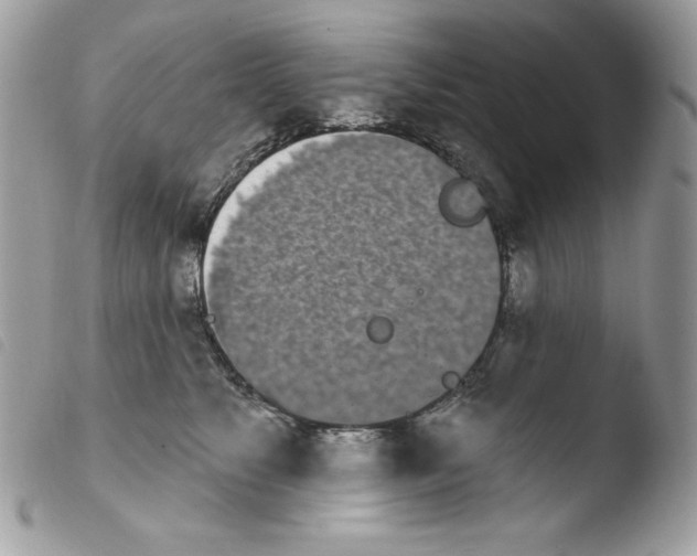 X0000103930517200810171755