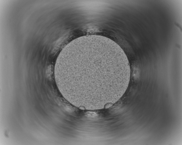 X0000103930519200810171754