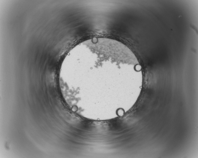 X0000103930520200810171754