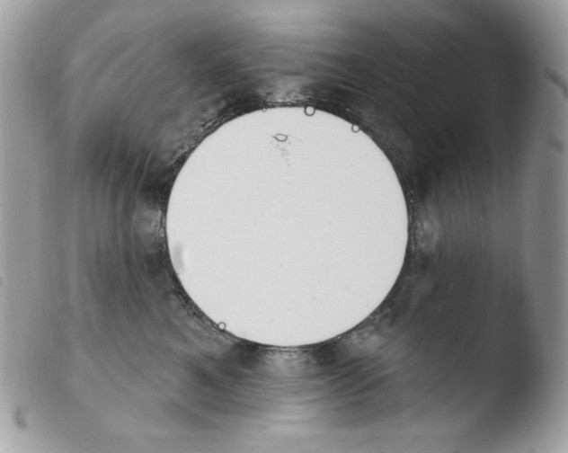 X0000103930521200810171754