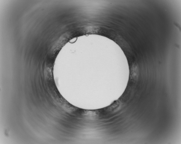 X0000103930522200810171754