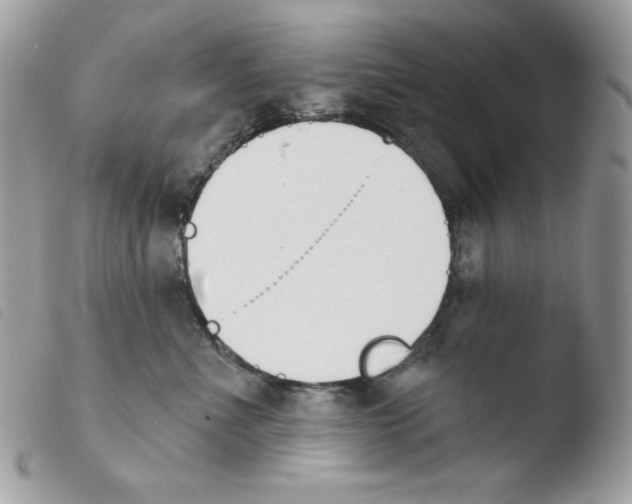 X0000103930523200810171754