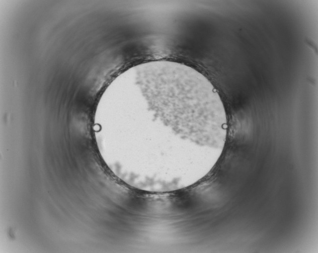 X0000103930524200810171754