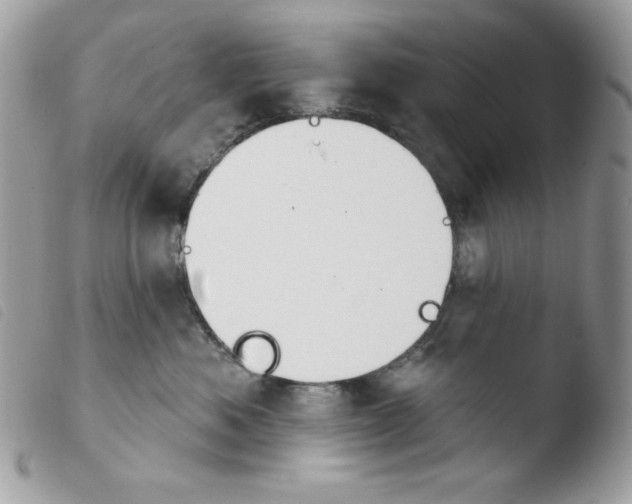 X0000103930525200810171754