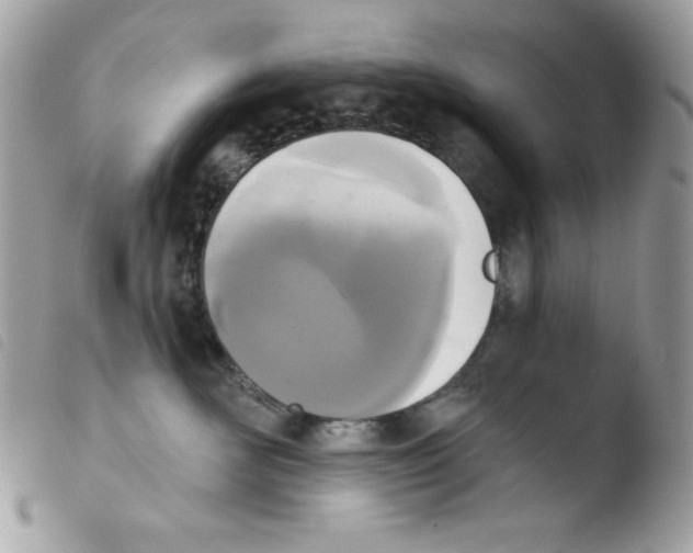 X0000103930526200810171754