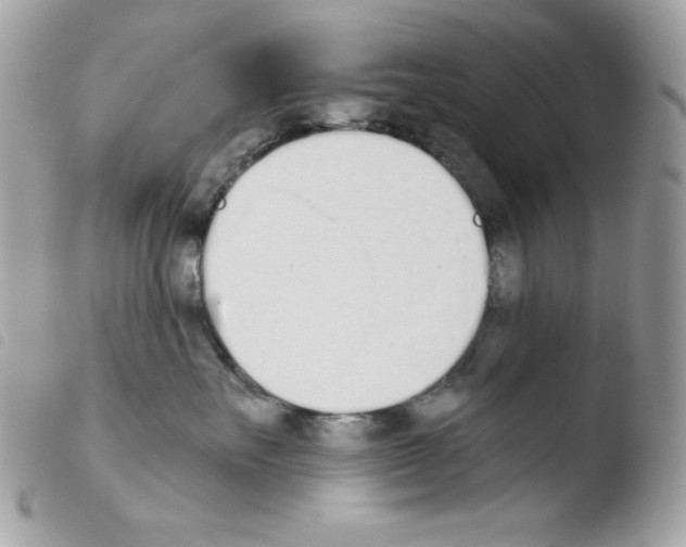 X0000103930527200810171754