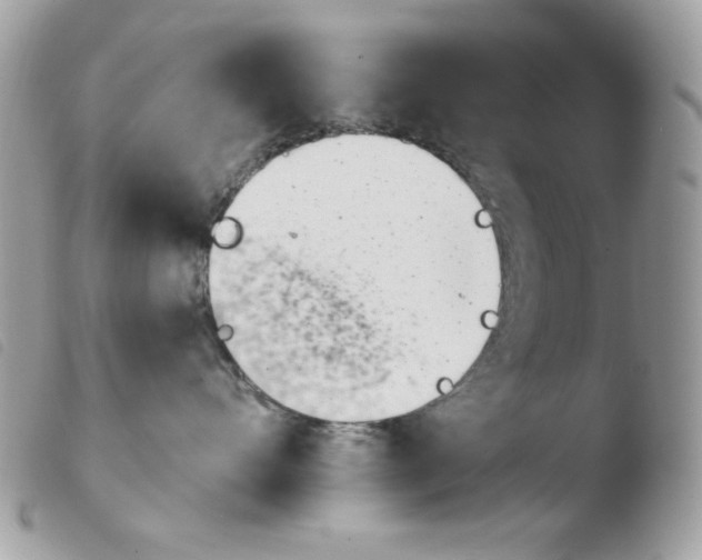 X0000103930528200810171754