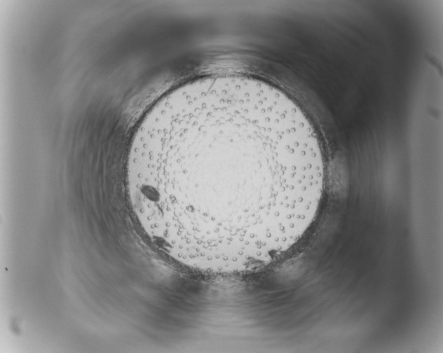 X0000103930529200810171754