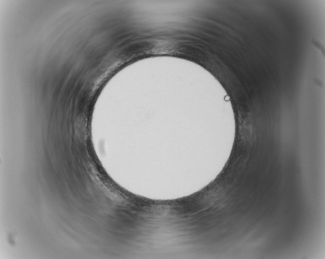 X0000103930530200810171754