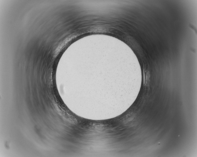 X0000103930531200810171754