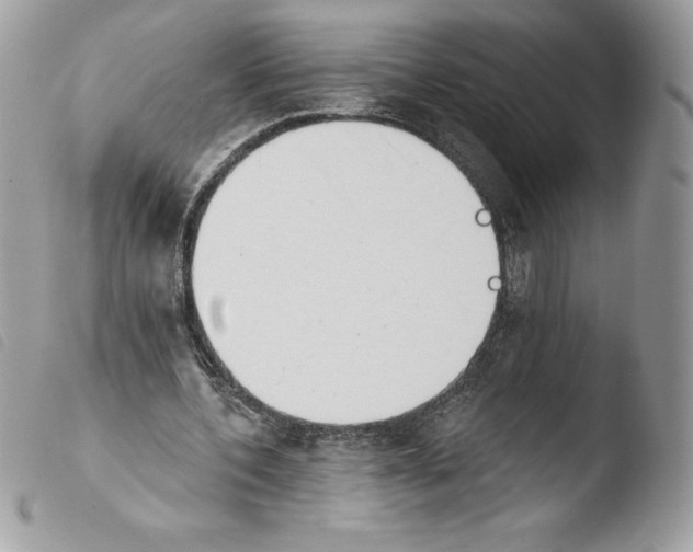 X0000103930532200810171754