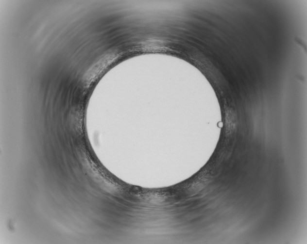 X0000103930533200810171754