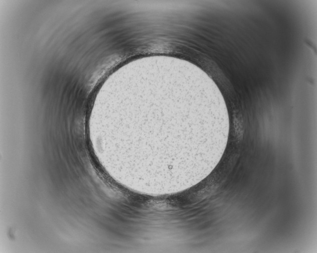 X0000103930534200810171754