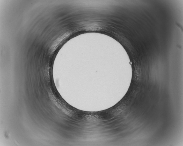 X0000103930535200810171754