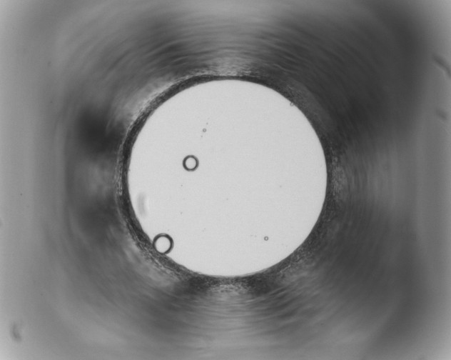 X0000103930536200810171754