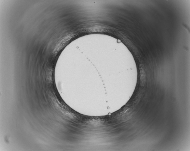 X0000103930537200810171754