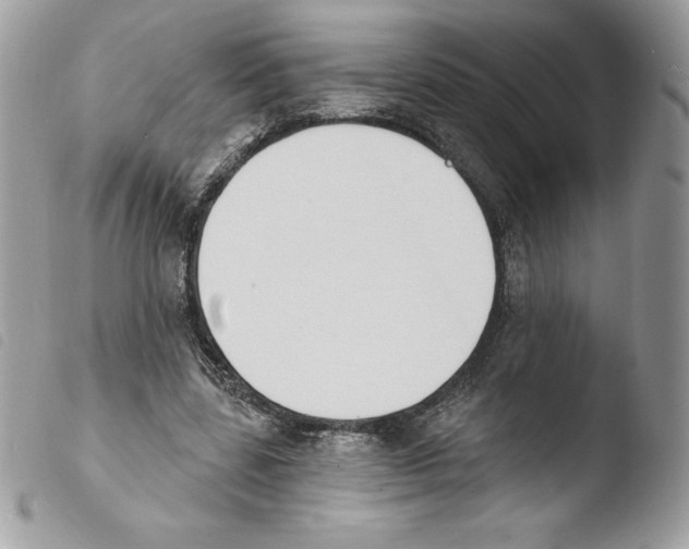 X0000103930539200810171754