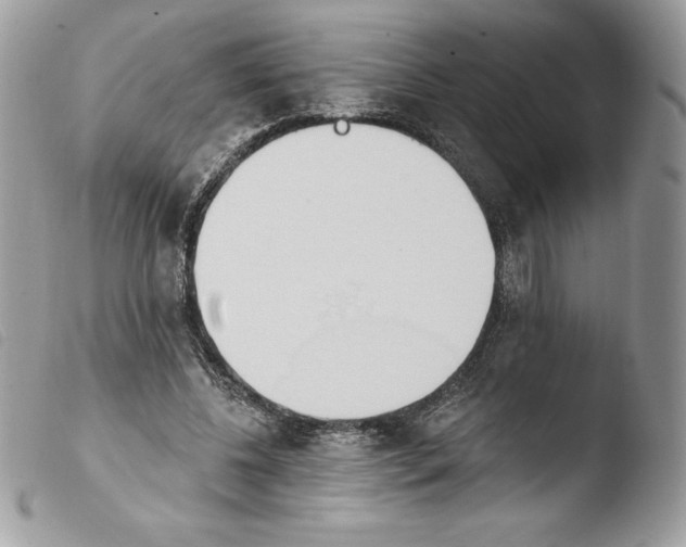 X0000103930540200810171754